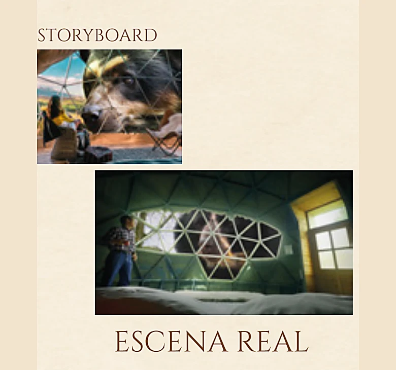 Storyboard y escena real: el bateo de oro y el domo geodésico
